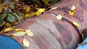 Самодельная фреза к Дон Фен-244 из заднего моста москвича