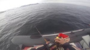 Работа Электрокатушка Daiwa Tanacom 1000