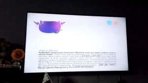 СПОНСОР ПОКАЗА ПАО ДЕТСКИЙ МИР 22.11.2023 КАРУСЕЛЬ РЕКЛАМА