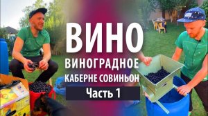 Вино из винограда «Каберне Совиньон» в домашних условиях | Часть 1