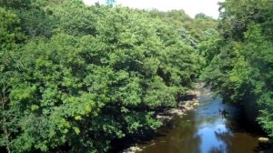 Bridge over the River Derwent at Allensford