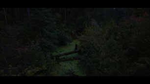 Осень в лесу | cinematic short film | Nikon D3200