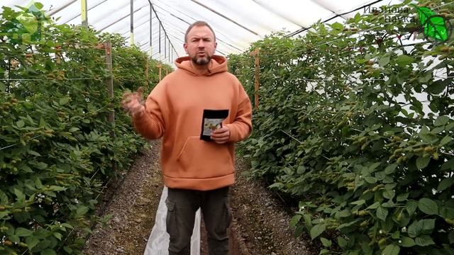 100 % ЗАЩИТЫ УРОЖАЯ БЕЗ ХИМИИ. Тур-КМЕ в созвездии BioDSO: от клеща, гусениц, плодожорок и колорада