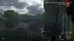 Fishing Planet - Unique Carp Perfect Groundbait | Cloudy Day