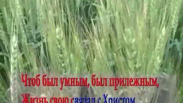 Слово мама дорогое смотреть онлайн