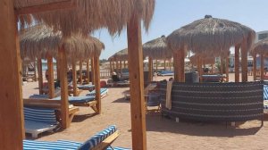Romance Regency Club 5* Деревянные шезлонги и лежаки (Египет, Шарм эль Шейх)