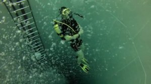 Бассейн Nemo 33 (Брюссель) Nemo 33 pool scuba diving