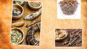 Аир болотный   корень от многих заболеваний