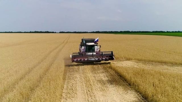 Пака мы вместе-мы непобедимы! смотреть онлайн