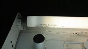 Люминесцентный светильник ЛПО 2014 года.