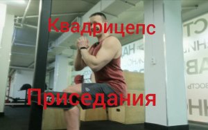 Сисси приседания /Квадрицепс