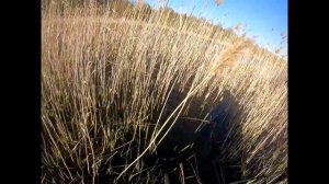 РАСЧИСТКА МЕСТА ПОД РЫБАЛКУ