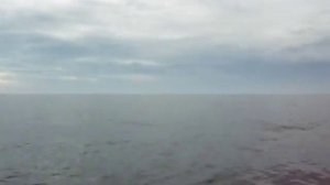 Пелла-Фиорд и Tohatsu 5. Навигация 2012.