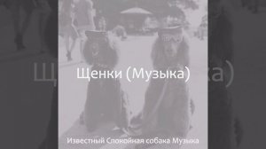 Чувство (Спящая собака)