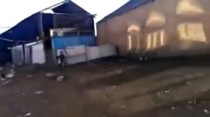 Злой Петух напал на ребенка Angry Rooster attacked child