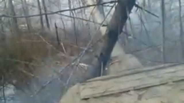 т-34 валит деревья