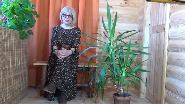 В ЧЕМ СМЫСЛ ЖИЗНИ И КАК ЕГО ИСКАТЬ смотреть онлайн