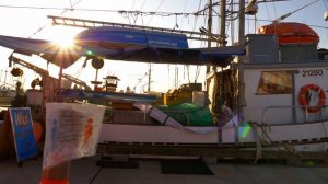 Panasonic Lumix GH5 + Panasonic 12-35mm F2.8 Cinematic