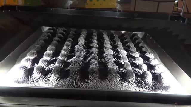 Strange Hairy Speaker (Sience Centre) / Странный Волосатый Динамик (Научный Центр) смотреть онлайн