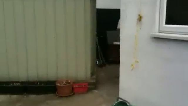 Tennis ball match head bomb!