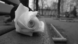 прощай любимый(((