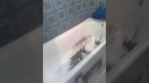 Эмалировка ванны в Саратове
