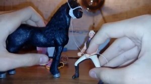 Моя амуниция для лошадей ШЛЯЙХ