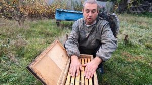Слабые СЕМЬИ ПЧЁЛ в ЗИМУ нужно усилить/Мало мёда, не беда, зимуем на 1/3 рамках корма под контролем