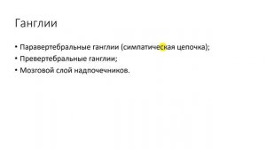 Физиология. Глава 2. ВНС. Часть 2. Симпатическая нервная система