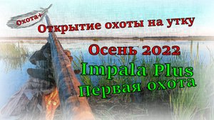 Открытие охоты на утку Осень 2022, новое ружье Impala Plus Импала плюс Первая охота #открытие #охота