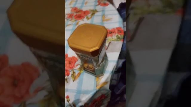 ЖИВОЙ ОСЬМИНОГ у меня дома!!! смотреть онлайн