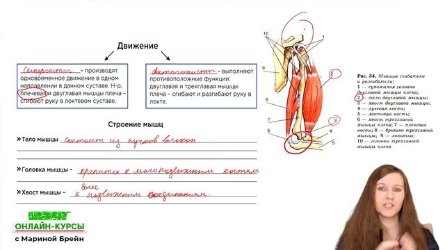 Все ткани человека ЕГЭ | Пробная неделя мастер-группы с Мариной Брейн