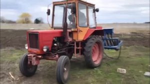 Посадка люцерны. Корм для овец