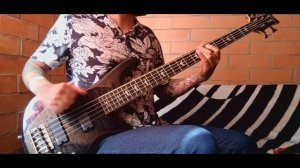Korn - Got the Life (Bass Cover)