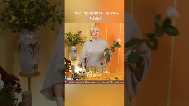 Спасите розу от гибели! Онлайн курс Коммерческая флористика. Уход за цветами смотреть онлайн