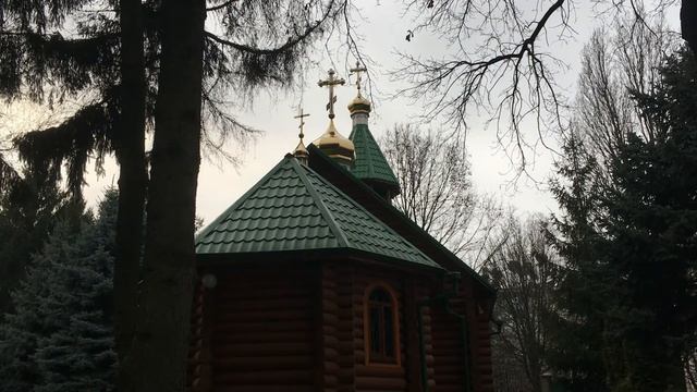 Для чего дается жизнь человеку? Смысл жизни. Жизнь после смерти. Воскресение. Преподобный Иустин
