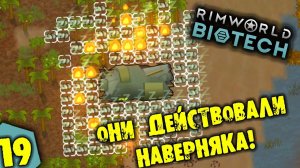 #19 ОНИ ДЕЙСТВОВАЛИ НАВЕРНЯКА Прохождение Rimworld BIOTECH НА РУССКОМ