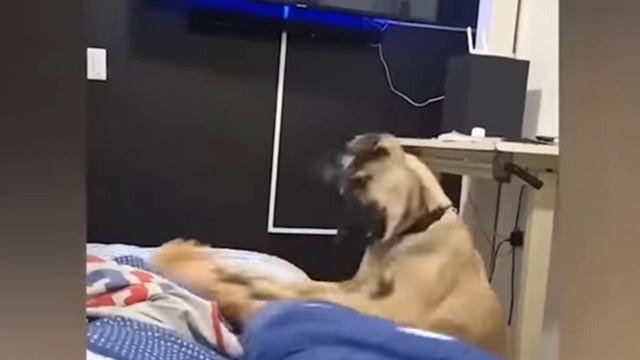 Что творят эти малыши ?