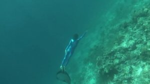 MANTAS-MALDIVES, ФРИДАЙВИНГ С МАНТАМИ