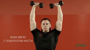 Жим Арнольда: техника сидя с гантелями