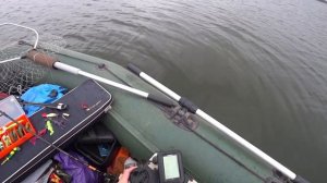 Карп на грушку.