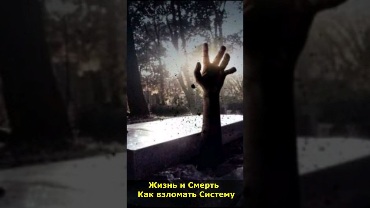 Жизнь и Смерть = Как взломать Систему #смерть #послесмерти #жизнь #система смотреть онлайн