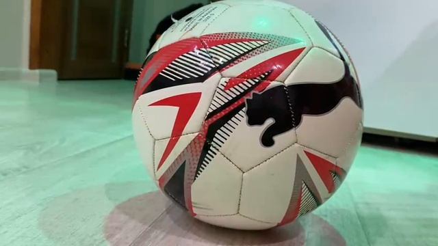 video5390898574613553361