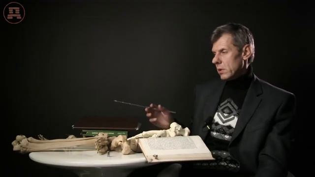 Теория деградации человека  Александр Белов