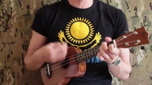 Doctor Kotik - Паша винтовой (Разбор на укулеле)