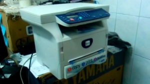 Пробная печать Phaser 3100 MFP