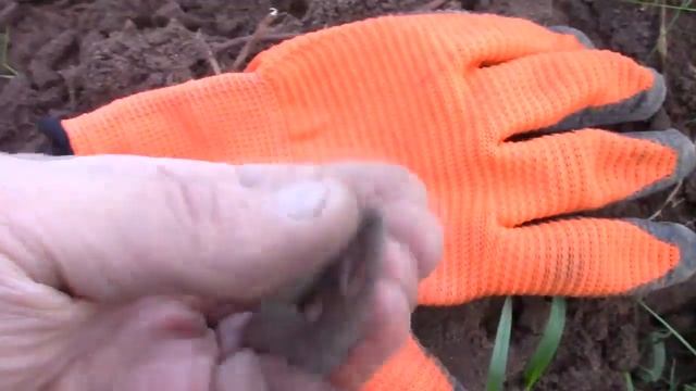 Лесной коп/ Петровская денга смотреть онлайн