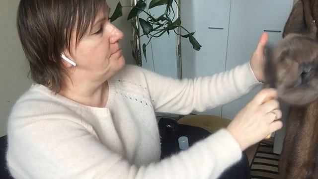 Как почистить шубу из натурального меха смотреть онлайн