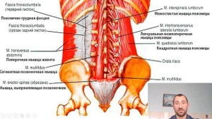 Фрагменты вебинара для Ютуб  Часть 1