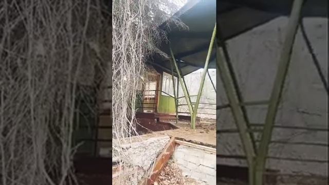 Волжские дали